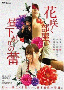 第九封情书文艺爱情剧场版动画海报